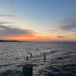 Meet your Posher, Molly